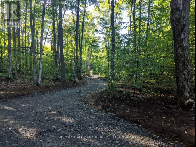 458 WHITE HOUSE ROAD, Huntsville (Brunel), Ontario, P1H2J3