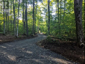 458 WHITE HOUSE ROAD Huntsville (Brunel) Ontario photo 1