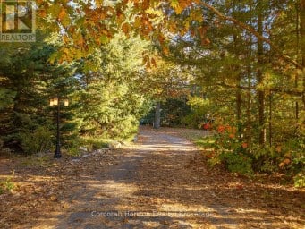 131 WILLIAM STREET Parry Sound Ontario photo 47