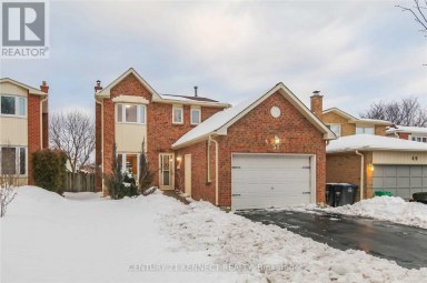 BSMT - 51 CASSANDER CRESCENT Brampton (Heart Lake East) Ontario photo 1