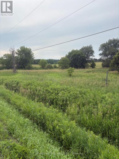 0 HIGHWAY 89, Innisfil (Cookstown), Ontario, L0L1L0