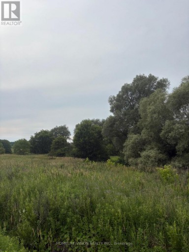 0 HIGHWAY 89, Innisfil (Cookstown), Ontario, L0L1L0