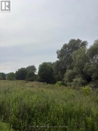 0 HIGHWAY 89 Innisfil (Cookstown) Ontario photo 4