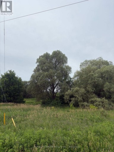 0 HIGHWAY 89, Innisfil (Cookstown), Ontario, L0L1L0