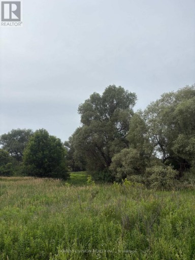 0 HIGHWAY 89, Innisfil (Cookstown), Ontario, L0L1L0
