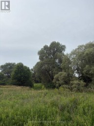 0 HIGHWAY 89 Innisfil (Cookstown) Ontario photo 6