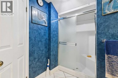 85 Mt Douglas Circle SE Calgary Alberta photo 46