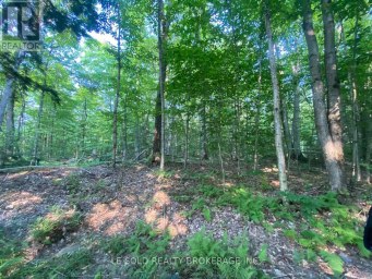 LOT # 7 - 1310 CAMEL LAKE ROAD Muskoka Lakes (Watt) Ontario photo 1