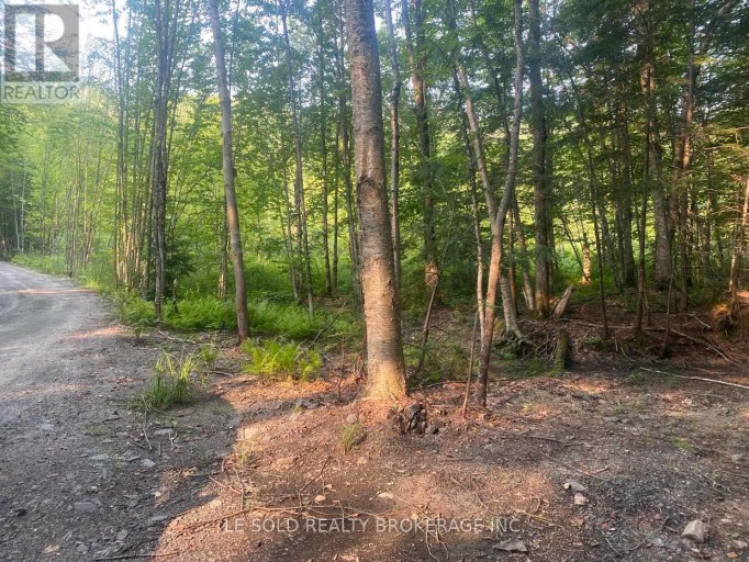 LOT # 7 - 1310 CAMEL LAKE ROAD, Muskoka Lakes (Watt), Ontario, P1L1X4