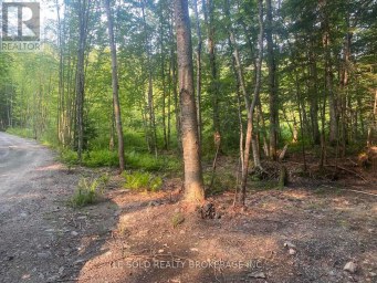LOT # 7 - 1310 CAMEL LAKE ROAD Muskoka Lakes (Watt) Ontario photo 2