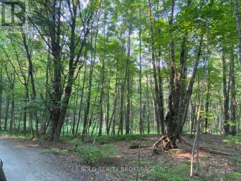 LOT # 7 - 1310 CAMEL LAKE ROAD Muskoka Lakes (Watt) Ontario photo 4