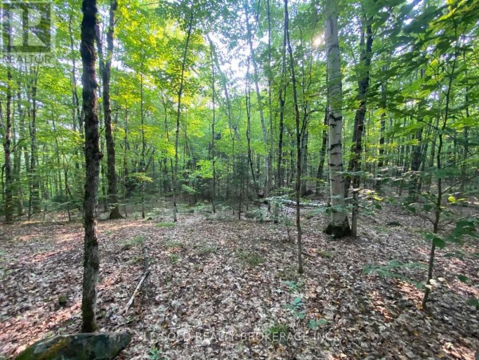 LOT # 7 - 1310 CAMEL LAKE ROAD, Muskoka Lakes (Watt), Ontario, P1L1X4