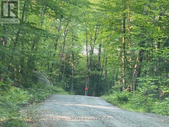 LOT # 7 - 1310 CAMEL LAKE ROAD Muskoka Lakes (Watt) Ontario photo 6
