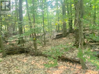 LOT # 7 - 1310 CAMEL LAKE ROAD Muskoka Lakes (Watt) Ontario photo 7