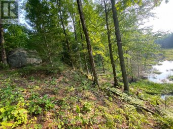 LOT # 7 - 1310 CAMEL LAKE ROAD Muskoka Lakes (Watt) Ontario photo 8
