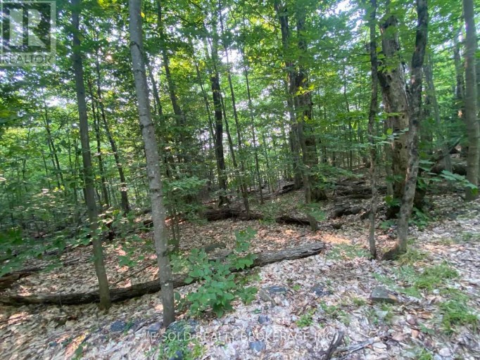 LOT # 7 - 1310 CAMEL LAKE ROAD, Muskoka Lakes (Watt), Ontario, P1L1X4