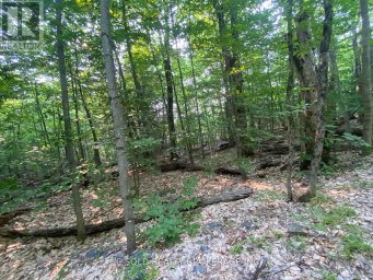 LOT # 7 - 1310 CAMEL LAKE ROAD Muskoka Lakes (Watt) Ontario photo 9