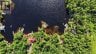 1211 WALDMERE ROAD, Bracebridge (monck (bracebridge)), Ontario, P1L1W8 (ID X13580634)