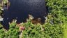 1211 WALDMERE ROAD, Bracebridge (monck (bracebridge)), Ontario, P1L1W8 (ID X13580634)