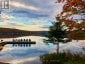 1040 WALKER LAKE DRIVE, Lake Of Bays (sinclair), Ontario, P1H2J6 (ID X13581114)
