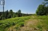 235 SINCLAIR ROAD, Huntsville (chaffey), Ontario, P1H0J6 (ID X13582558)