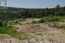 235 SINCLAIR ROAD, Huntsville (chaffey), Ontario, P1H0J6 (ID X13582558)