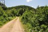 235 SINCLAIR ROAD, Huntsville (chaffey), Ontario, P1H0J6 (ID X13582558)