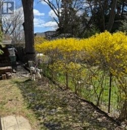 1089 MT PLEASANT ROAD Toronto (Mount Pleasant East) Ontario photo 16