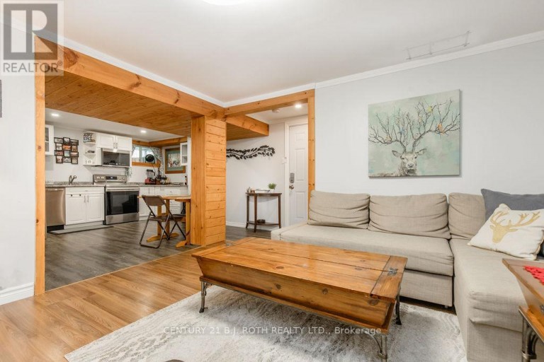 LOWER LEVEL - 243 WELLINGTON STREET E, Barrie (Codrington), Ontario, L4M2E4