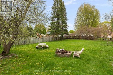 LOWER LEVEL - 243 WELLINGTON STREET E Barrie (Codrington) Ontario photo 15