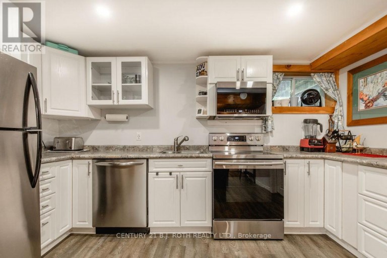 LOWER LEVEL - 243 WELLINGTON STREET E, Barrie (Codrington), Ontario, L4M2E4