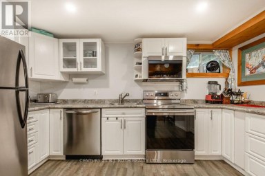 LOWER LEVEL - 243 WELLINGTON STREET E Barrie (Codrington) Ontario photo 8