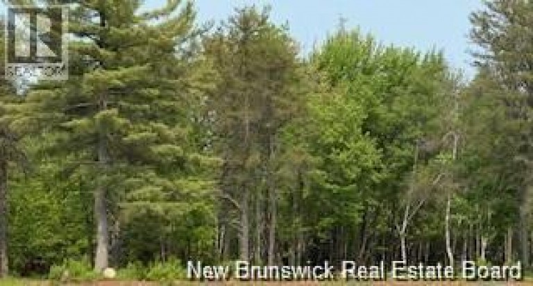 Lot Wegesegum Road, Chipman, New Brunswick, O0O0O0
