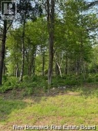 Lot Wegesegum Road Chipman New Brunswick photo 13