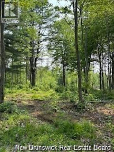 Lot Wegesegum Road, Chipman, New Brunswick, O0O0O0