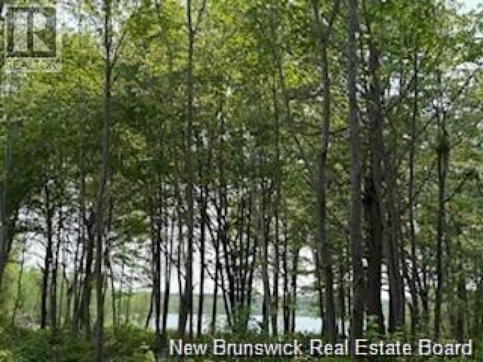 Lot Wegesegum Road, Chipman, New Brunswick, O0O0O0
