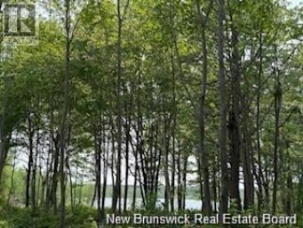 Lot Wegesegum Road Chipman New Brunswick photo 15