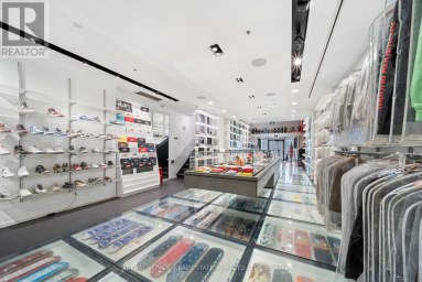 273 QUEEN STREET W Toronto (Waterfront Communities) Ontario photo 13