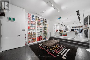 273 QUEEN STREET W Toronto (Waterfront Communities) Ontario photo 7