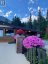 7050 Trans-Canada Highway, Out Of Province_alberta, British Columbia, V0E2S0 (ID A2327313)