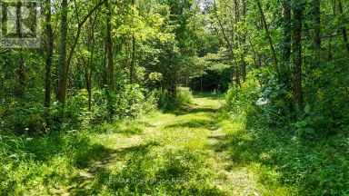 65 LAWRENCE ROAD South Bruce Peninsula Ontario photo 42