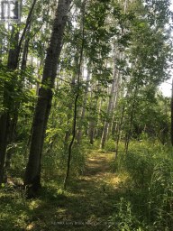 65 LAWRENCE ROAD South Bruce Peninsula Ontario photo 44