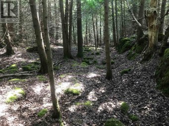 65 LAWRENCE ROAD South Bruce Peninsula Ontario photo 45