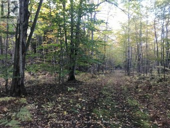 65 LAWRENCE ROAD South Bruce Peninsula Ontario photo 46
