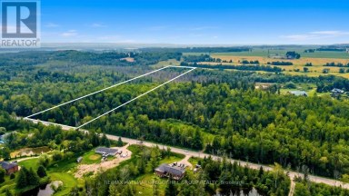 6905 COUNTY ROAD 21 Essa Ontario photo 10
