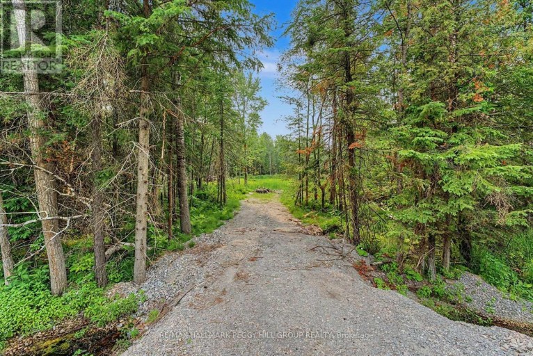 6905 COUNTY ROAD 21, Essa, Ontario, L9R1V2