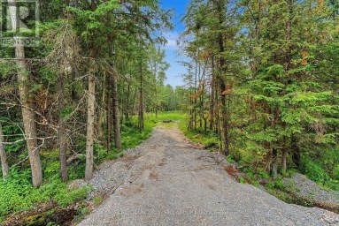 6905 COUNTY ROAD 21 Essa Ontario photo 3