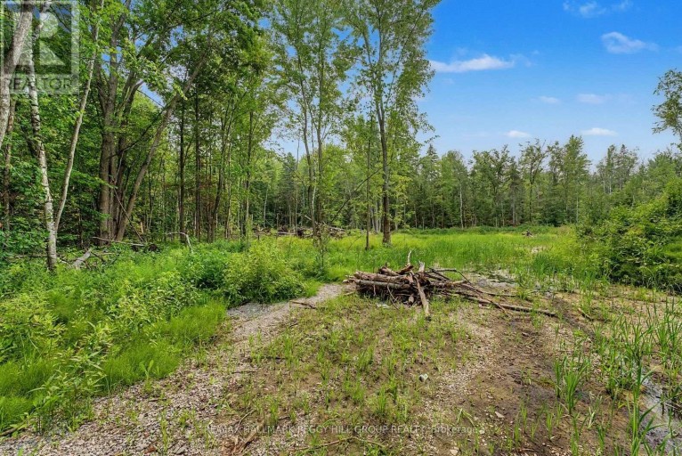 6905 COUNTY ROAD 21, Essa, Ontario, L9R1V2