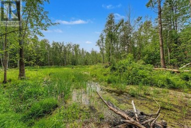 6905 COUNTY ROAD 21 Essa Ontario photo 5