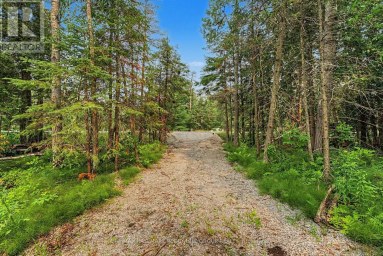 6905 COUNTY ROAD 21 Essa Ontario photo 6